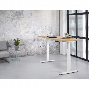 Elektrisch Zit/Sta Bureau 160x80cm